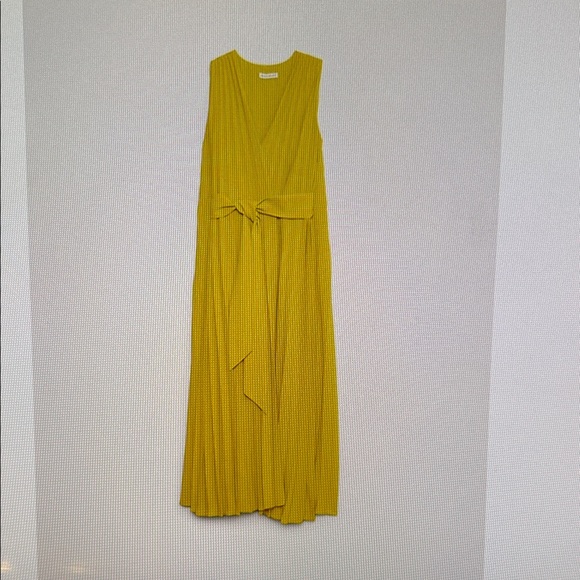 Banana Republic Antique Moss Green / Yellow Maxi Pleated Cape Dress - Picture 4 of 5